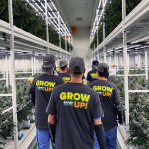 Mobile Vertical Farming