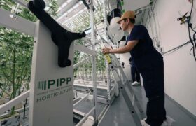 Installing ELEVATE Catwalk System for Vertical Farming