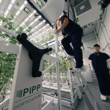 Using Catwalk on Multi-Tier Racks