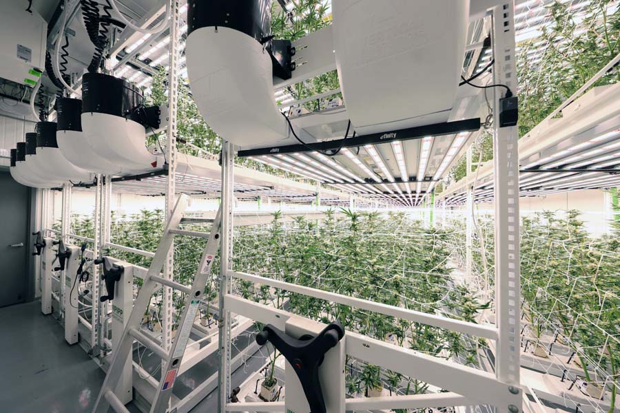 Catwalk System to Service Second Level of Vertical Farming