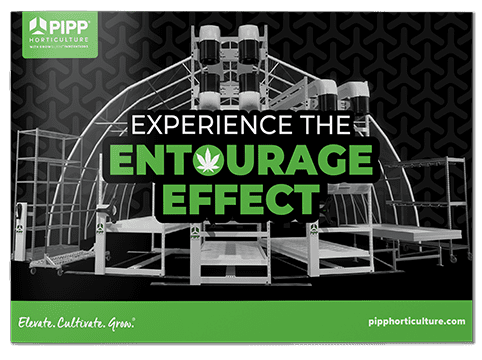 Entourage Effect E-Book