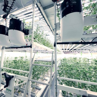 Ultimate Grow System