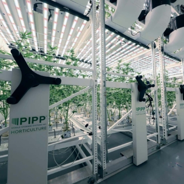 Vertical Grow System