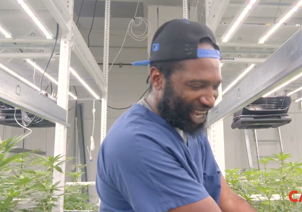 Level Up Your Grow Grodan101 X P