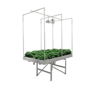 Rolling Bench2