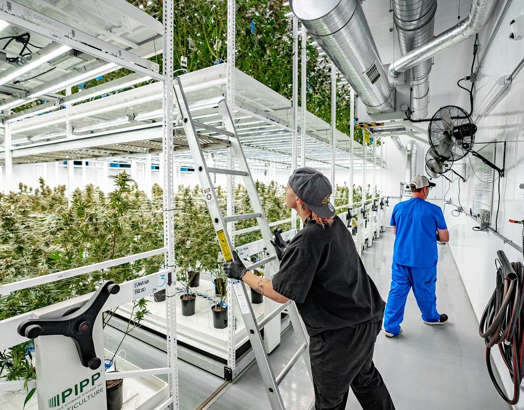 Freedom-Green-Vertical-Farming