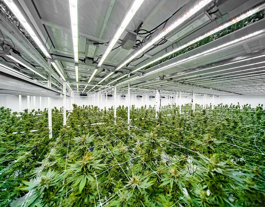 Mobile Vertical Farming