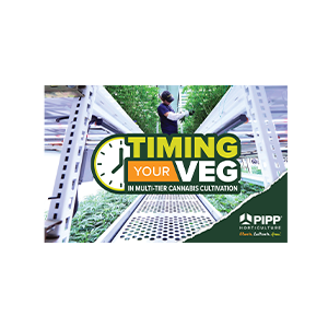 Timing Your Veg