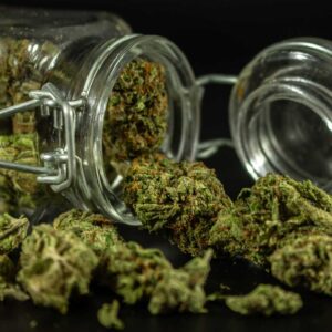 The Art & Science of Curing Cannabis: Curing Vessel Strategies for Long‑Term Stability
