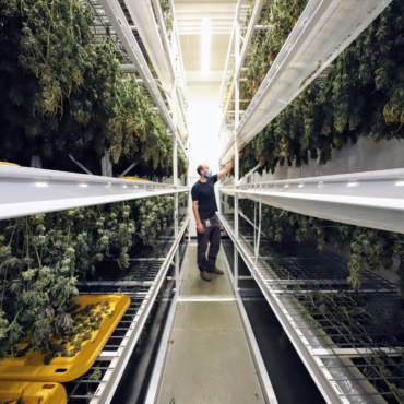 Curing