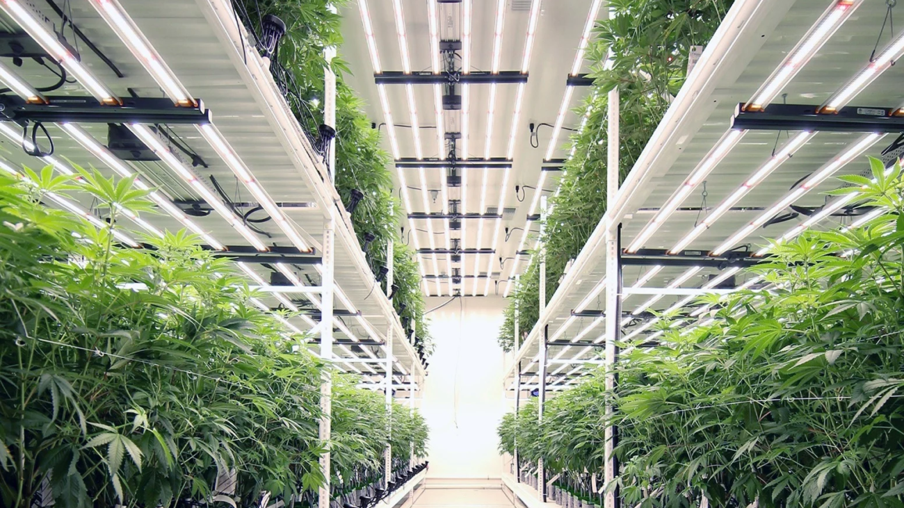 vertical tiered racks