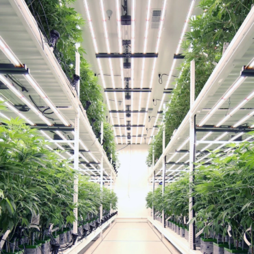 vertical tiered racks