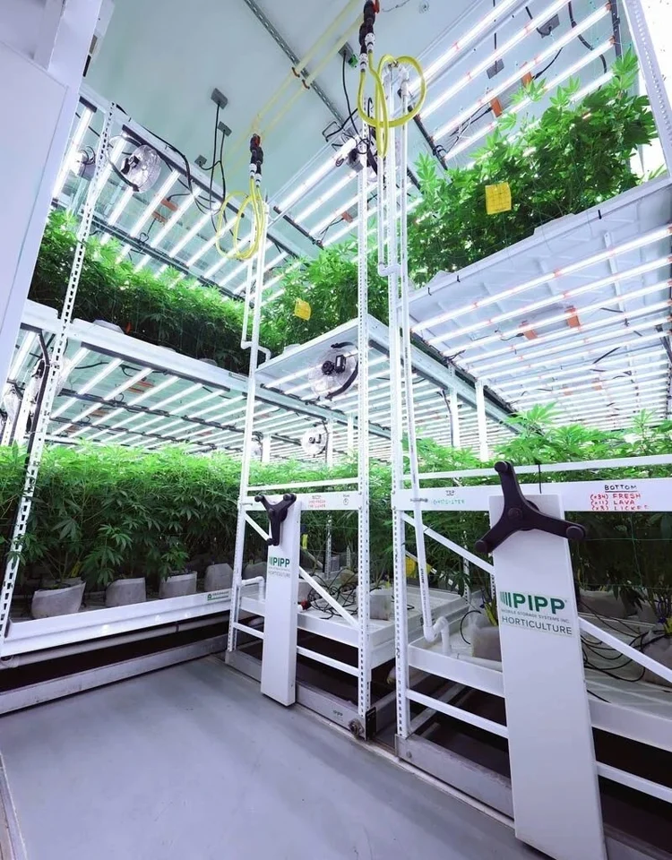 Tiered vertical racks