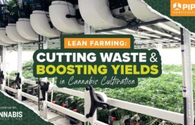 Lean Farming Webinar