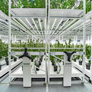 What Schedule III Really Means for Cannabis: A Lawyer&rsquo;s Unfiltered Take