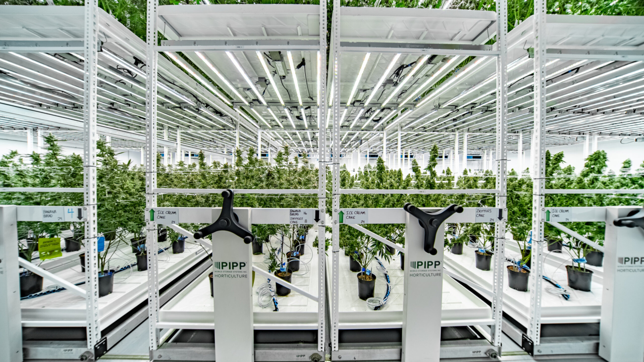 What Schedule III Really Means for Cannabis: A Lawyer’s Unfiltered Take