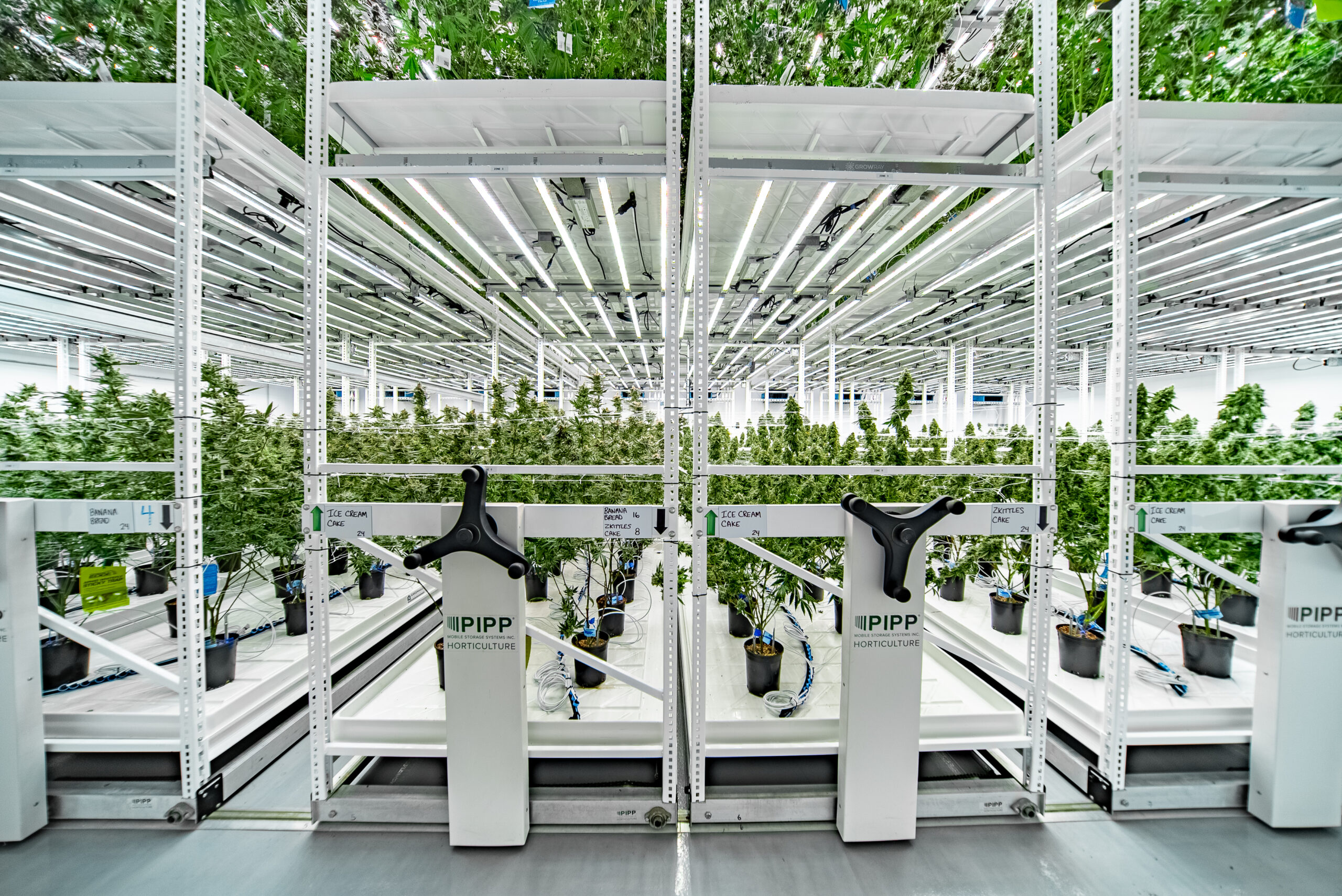 What Schedule III Really Means for Cannabis: A Lawyer&rsquo;s Unfiltered Take