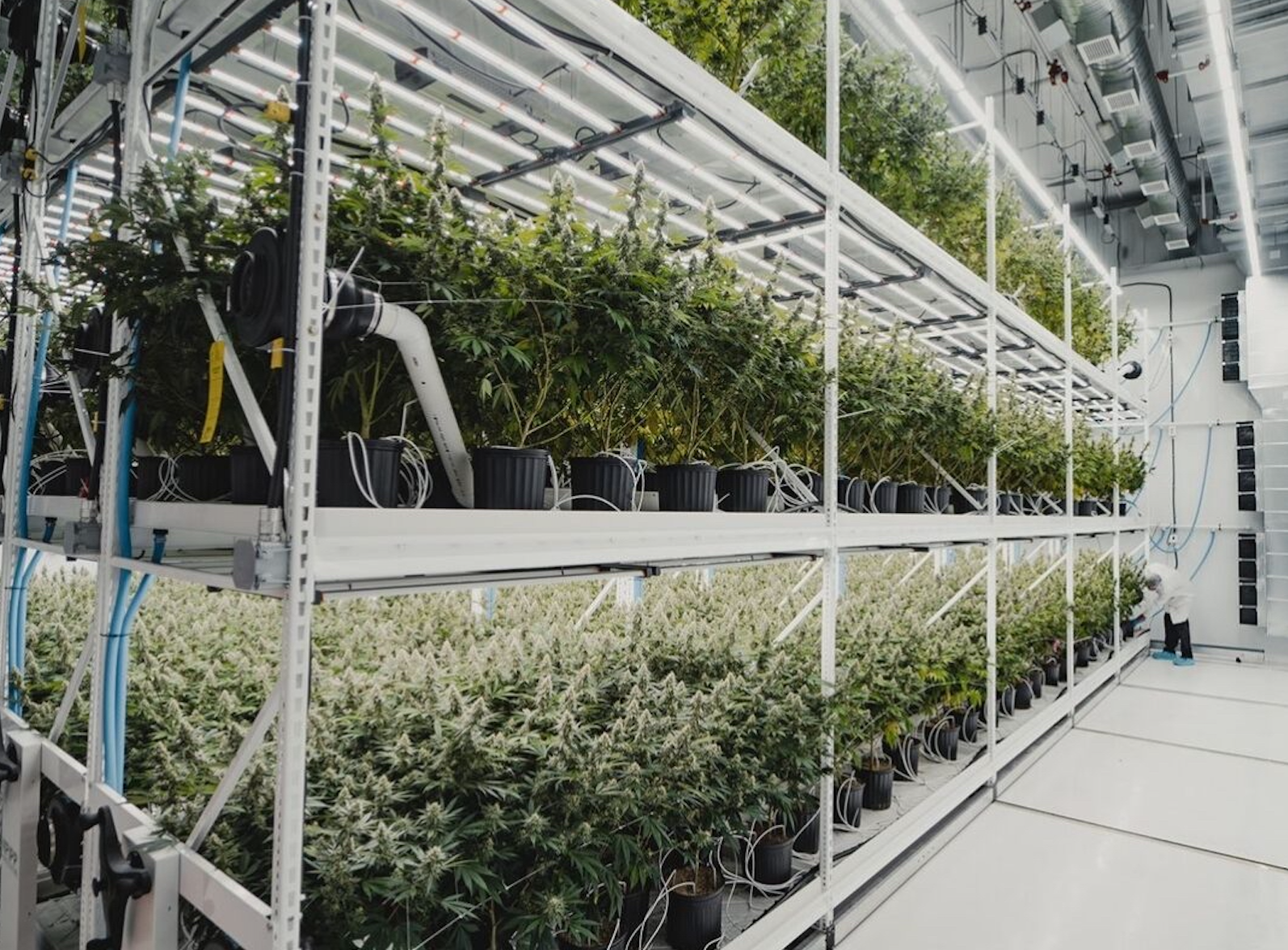 Screenshot 2026 01 14 At 7.06.57 PM