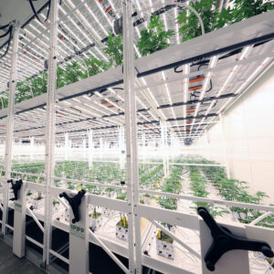 Signs Your Facility Has Outgrown Its Layout