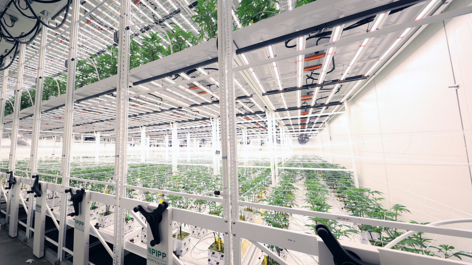 Signs Your Facility Has Outgrown Its Layout