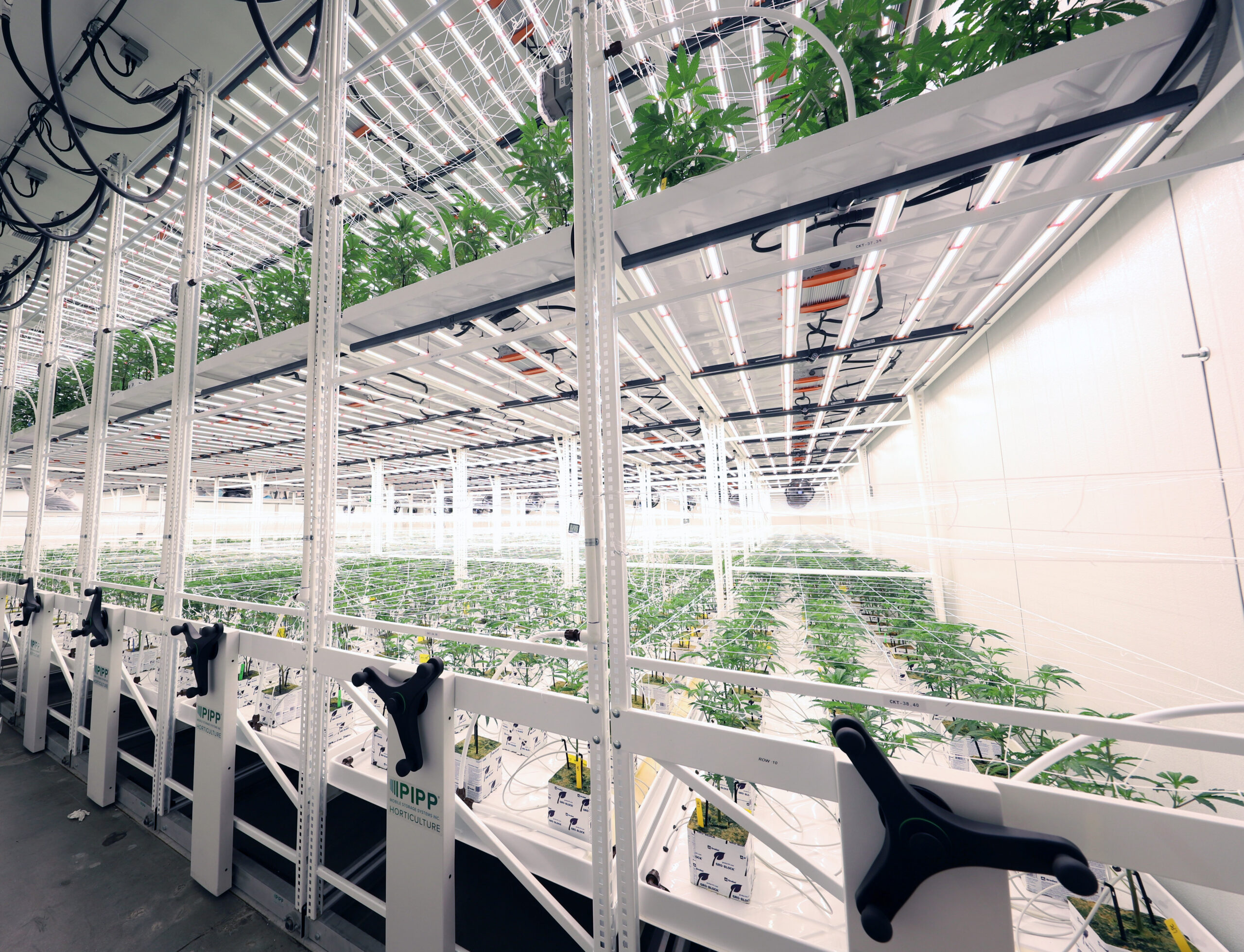 Signs Your Facility Has Outgrown Its Layout