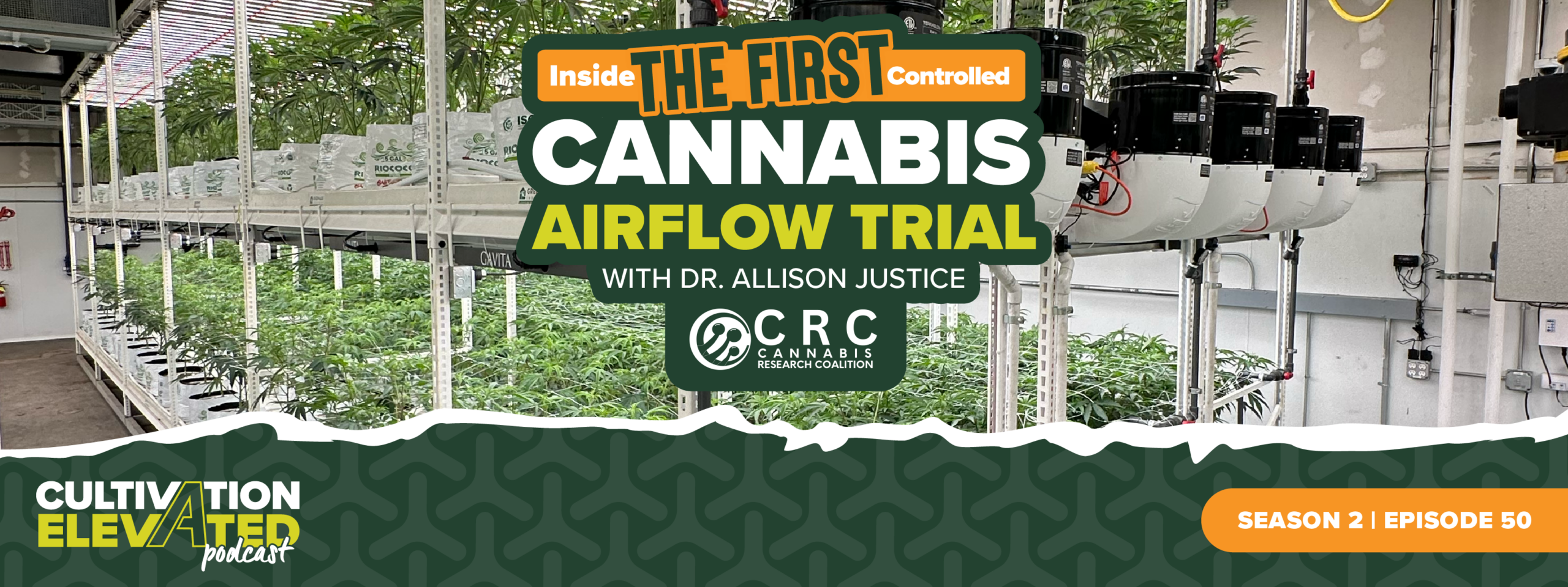 Inside the FIRST Controlled Cannabis Airflow Trial