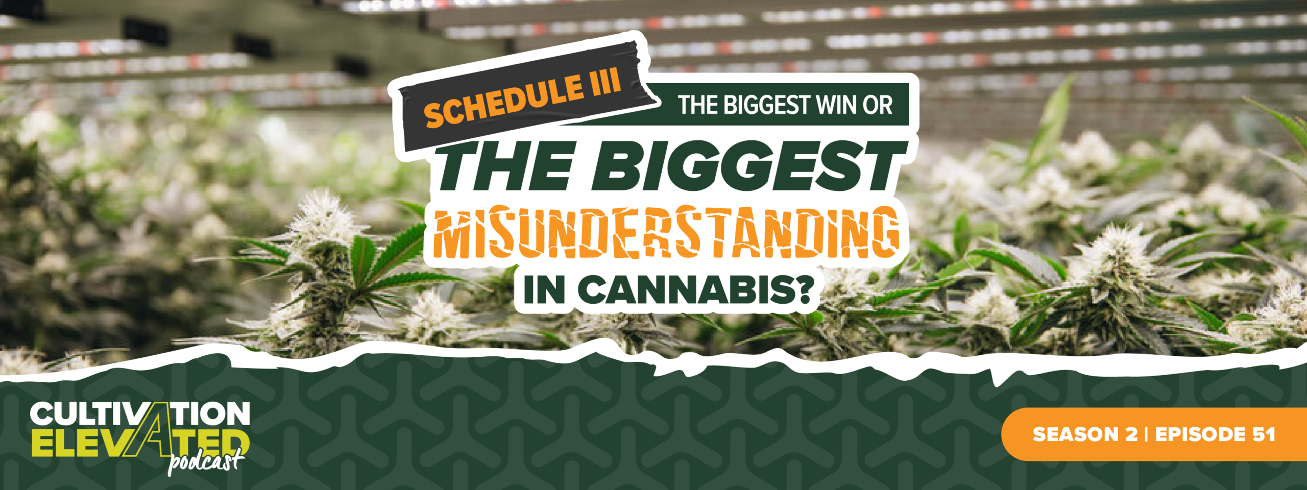 Schedule III: The Biggest Win or the Biggest Misunderstanding in Cannabis?