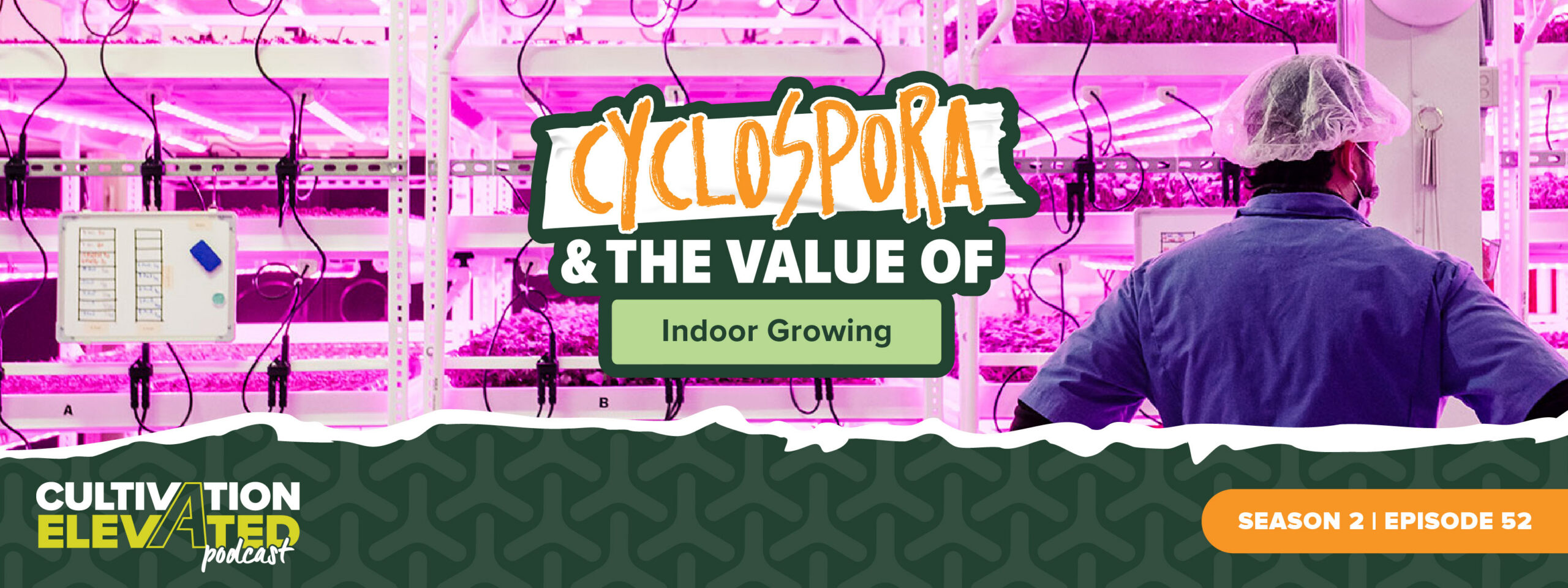 Cyclospora and the value of indoor growing