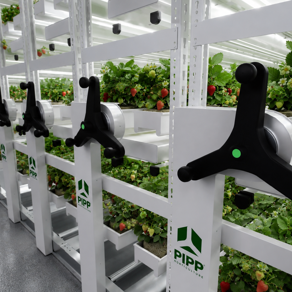 strawberry vertical grow system
