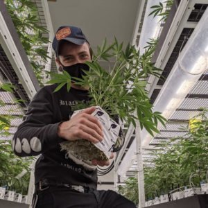 Future-Proofing Your Cultivation Facility: Protecting ROI