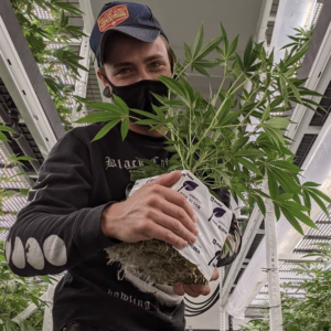 Future-Proofing Your Cultivation Facility: Protecting ROI