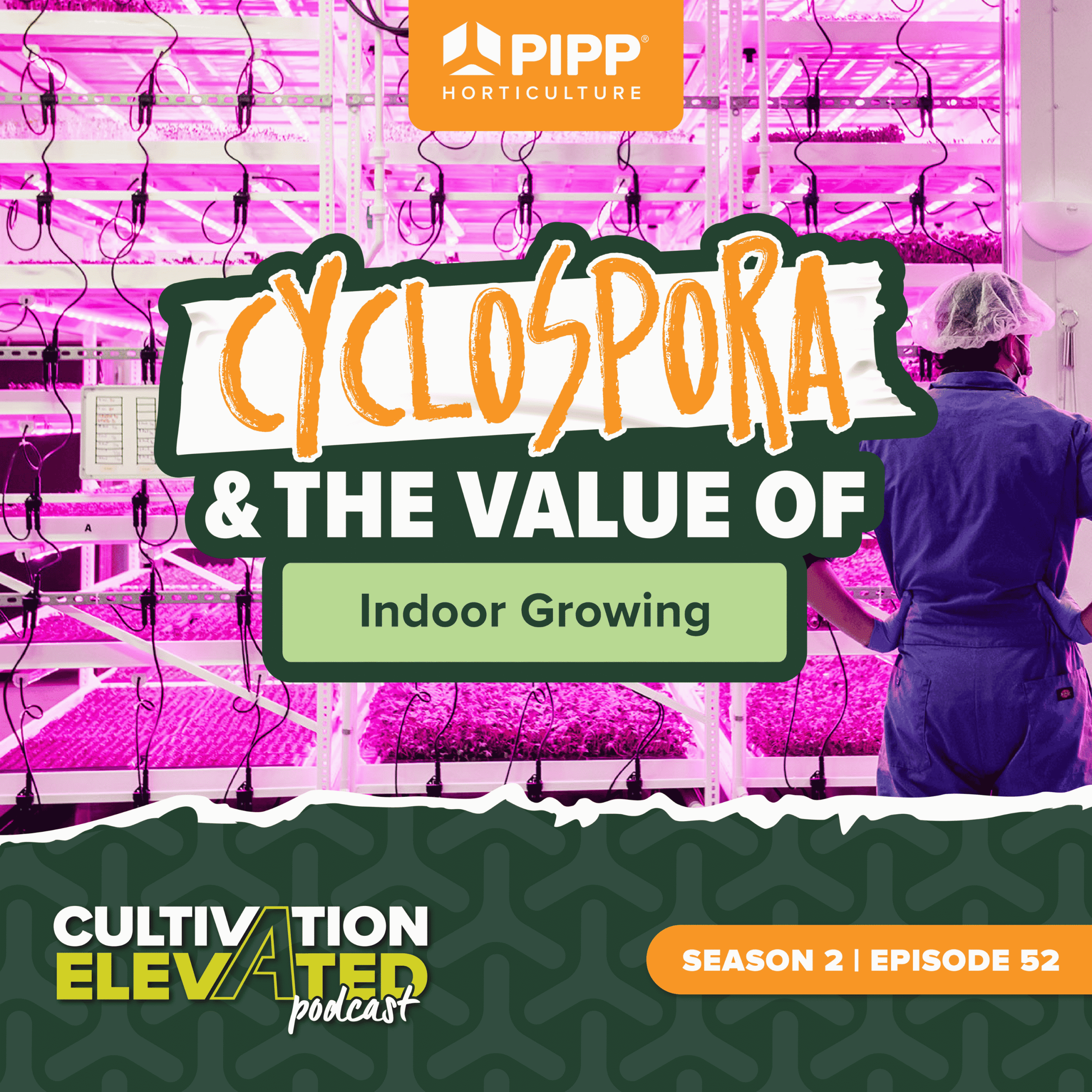 Cyclospora in food safety