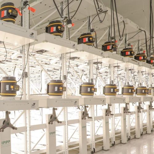 Nature Remedy Full System