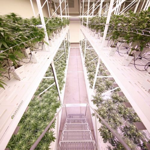 Accessing 2nd level in Mobile Vertical Cannabis Racks