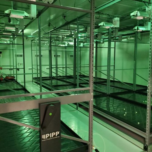 Drip-To-Dray Cannabis Grow Trays