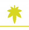 Drying Icon