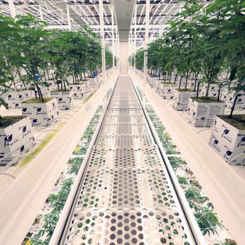 ELEVATE&trade; Platform System