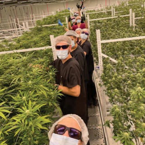 Working together on the ELEVATE™ Platform System