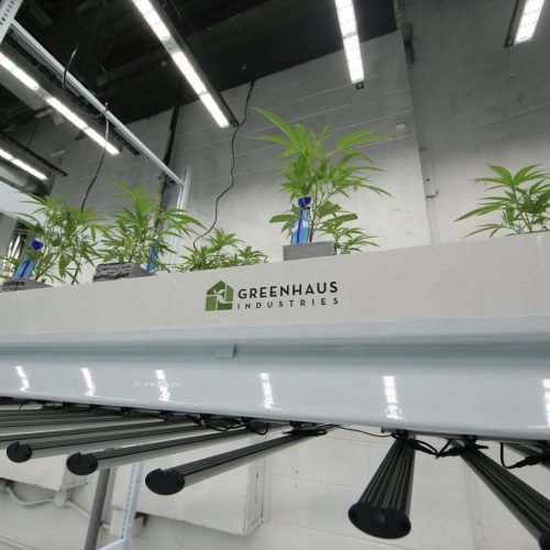 Mobile Vertical Grow Racks for CBD