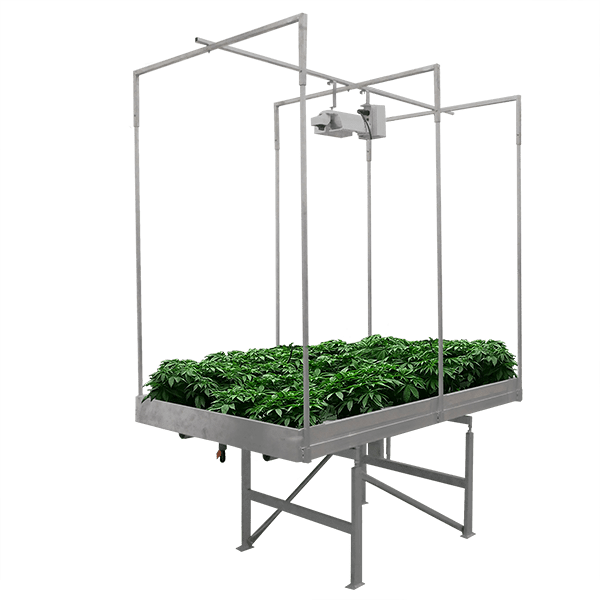 GGS Rolling Rack