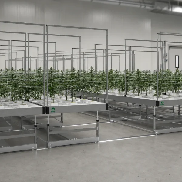 Rolling Benches - Double Your Plant Space - Pipp Horticulture
