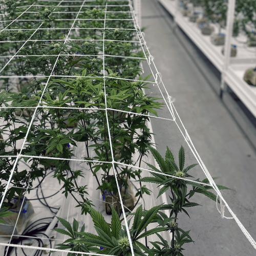 TRAK-FREE&trade; Mobile Carriage System