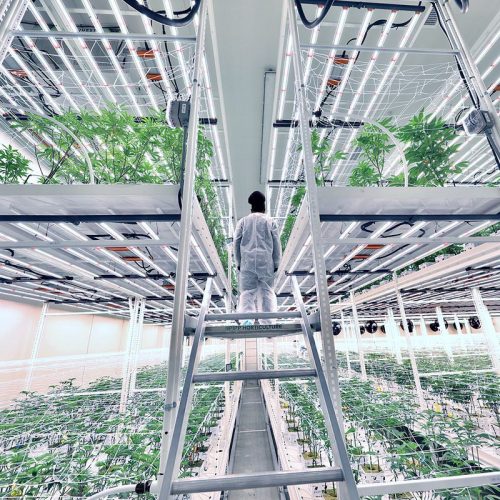 ELEVATE Platform System to Access Second Level Grow Racks