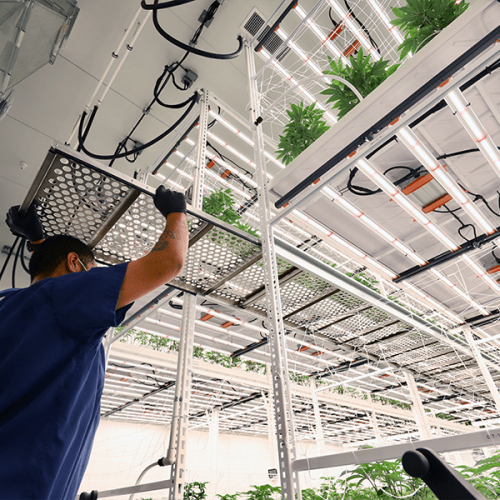 ELEVATE&trade; Platform System
