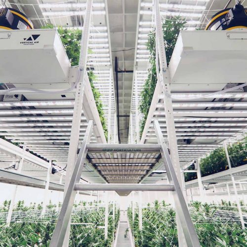 ELEVATE&trade; Platform System