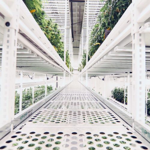 ELEVATE&trade; Platform System