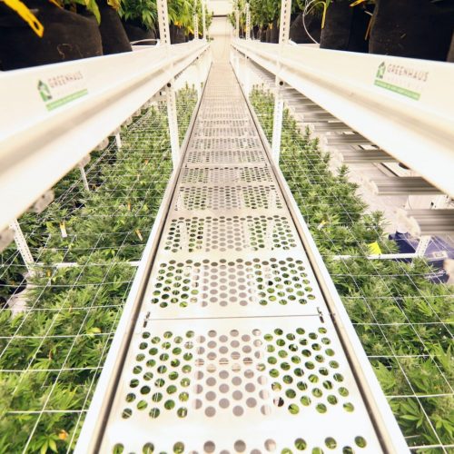 ELEVATE Platform System at True Infusion