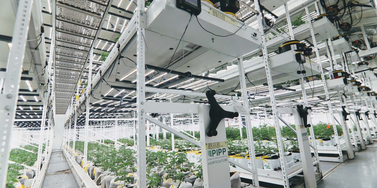 The Ultimate Vertical Grow System - Pipp Horticulture
