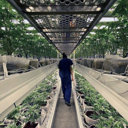 ELEVATE&trade; Platform System at Sozo