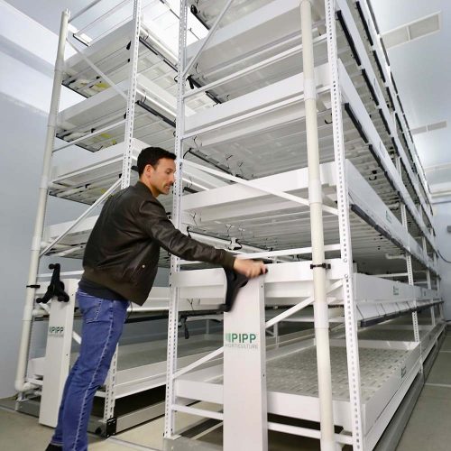 Pipp Horticulture Vertical Farming